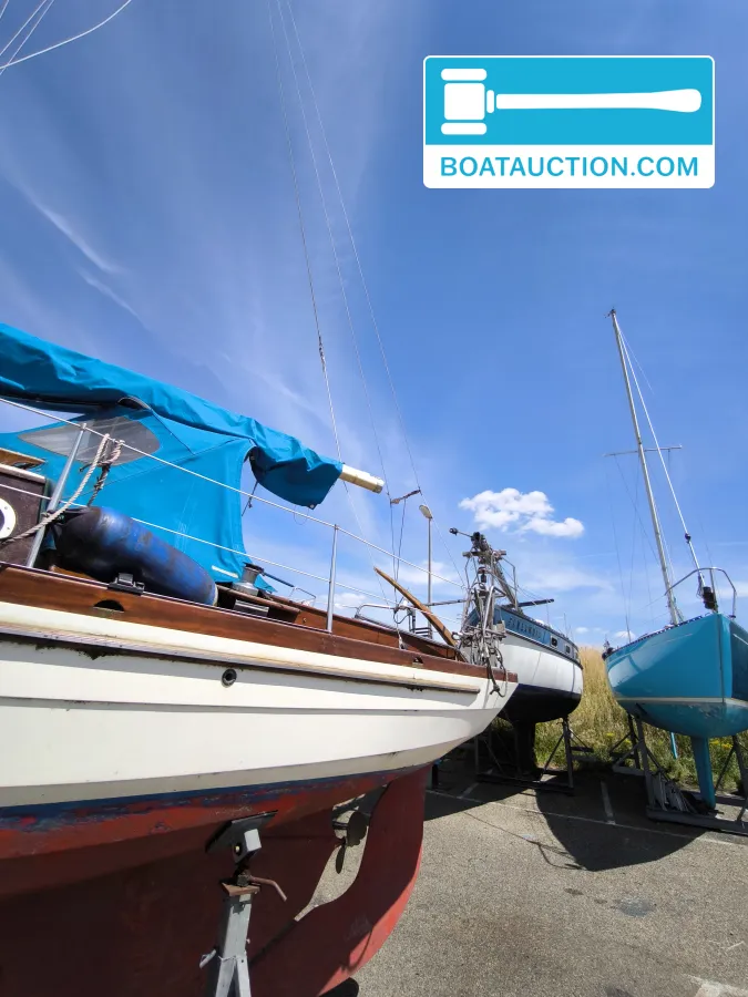 Aldebaran 8.13 foto 4