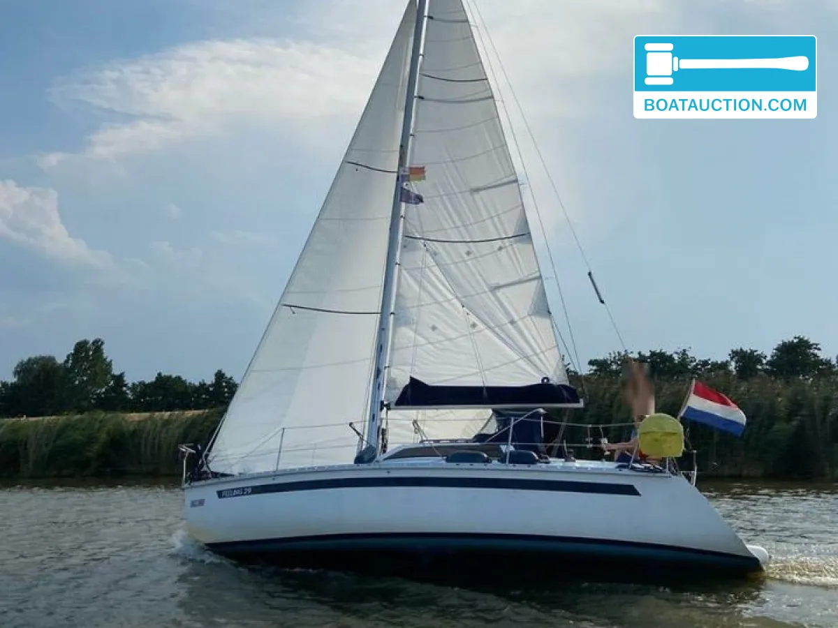 Akerboom 1250