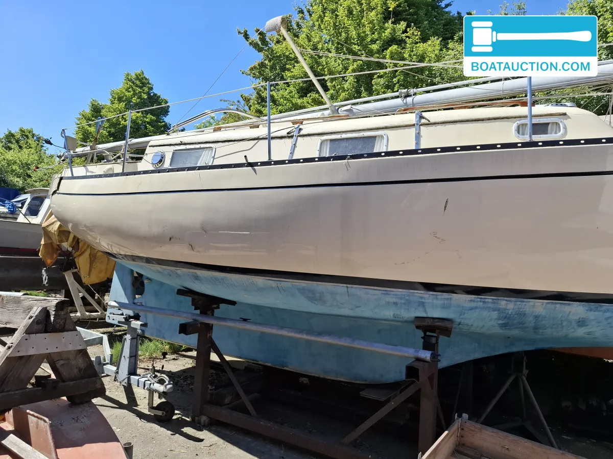Bayfield 29
