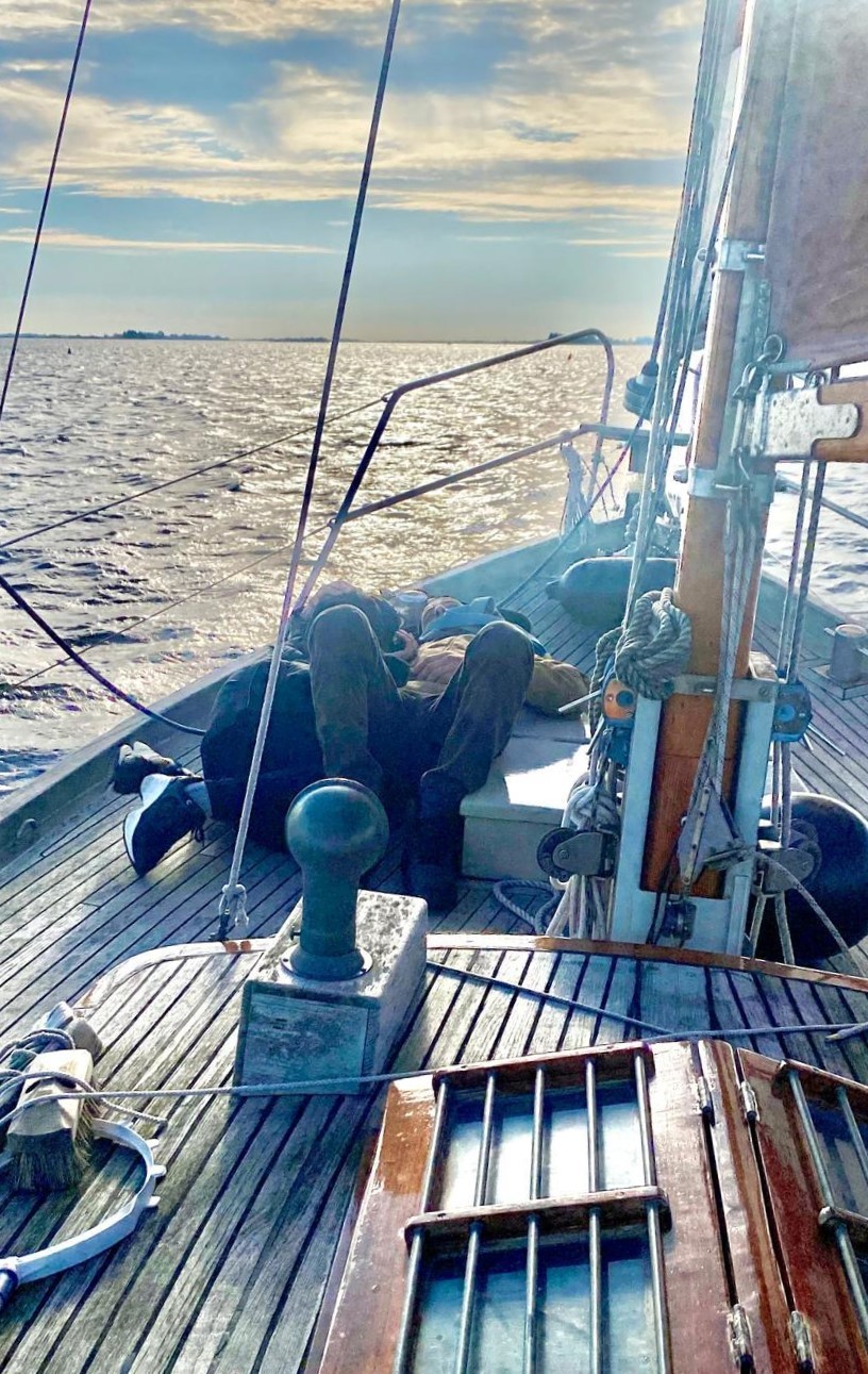 Danish Rose 31 foto 4