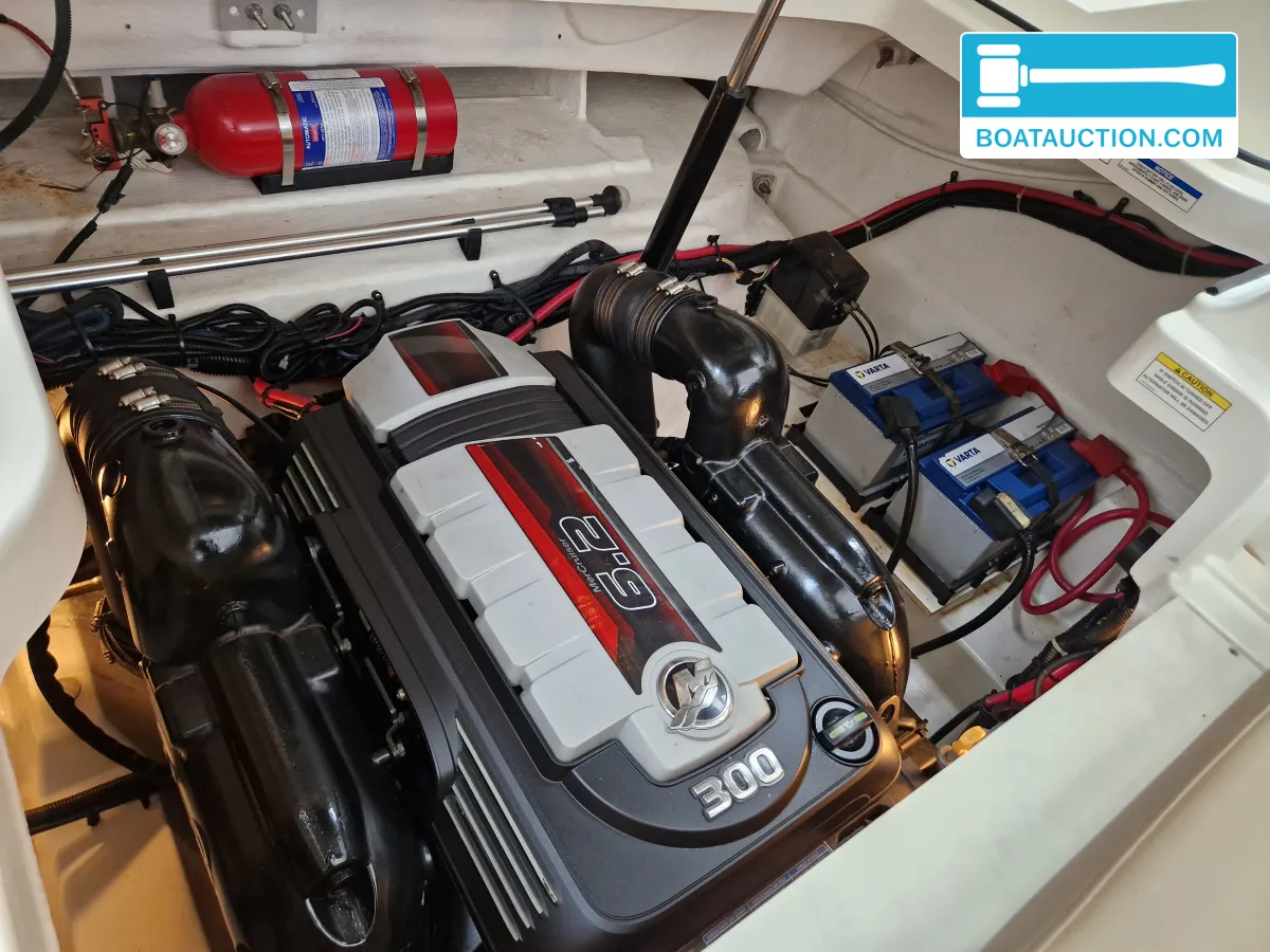 Sea Ray 250 SSE foto: 13