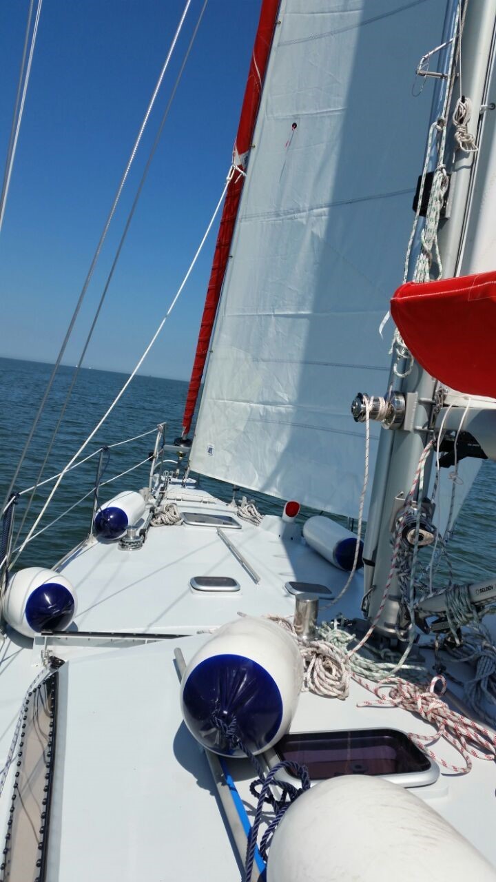 Reinke S11