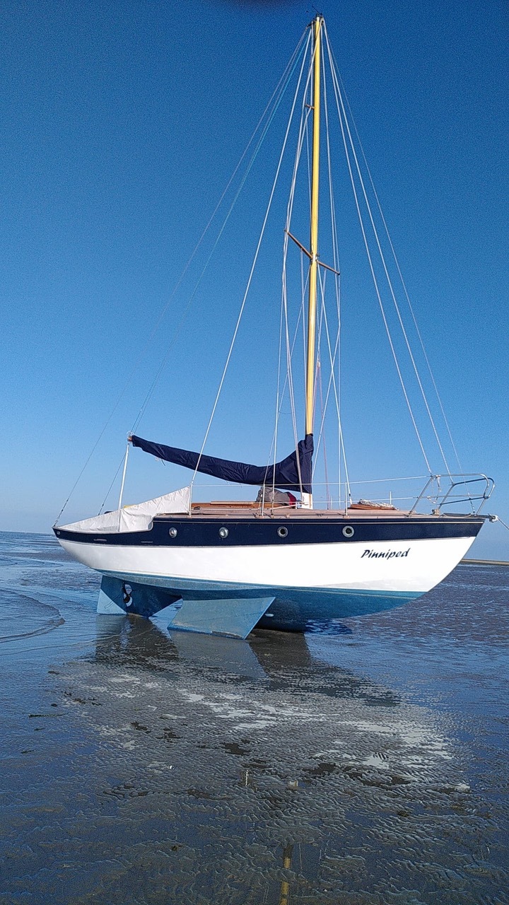 Bakdekker Mistress foto: 20
