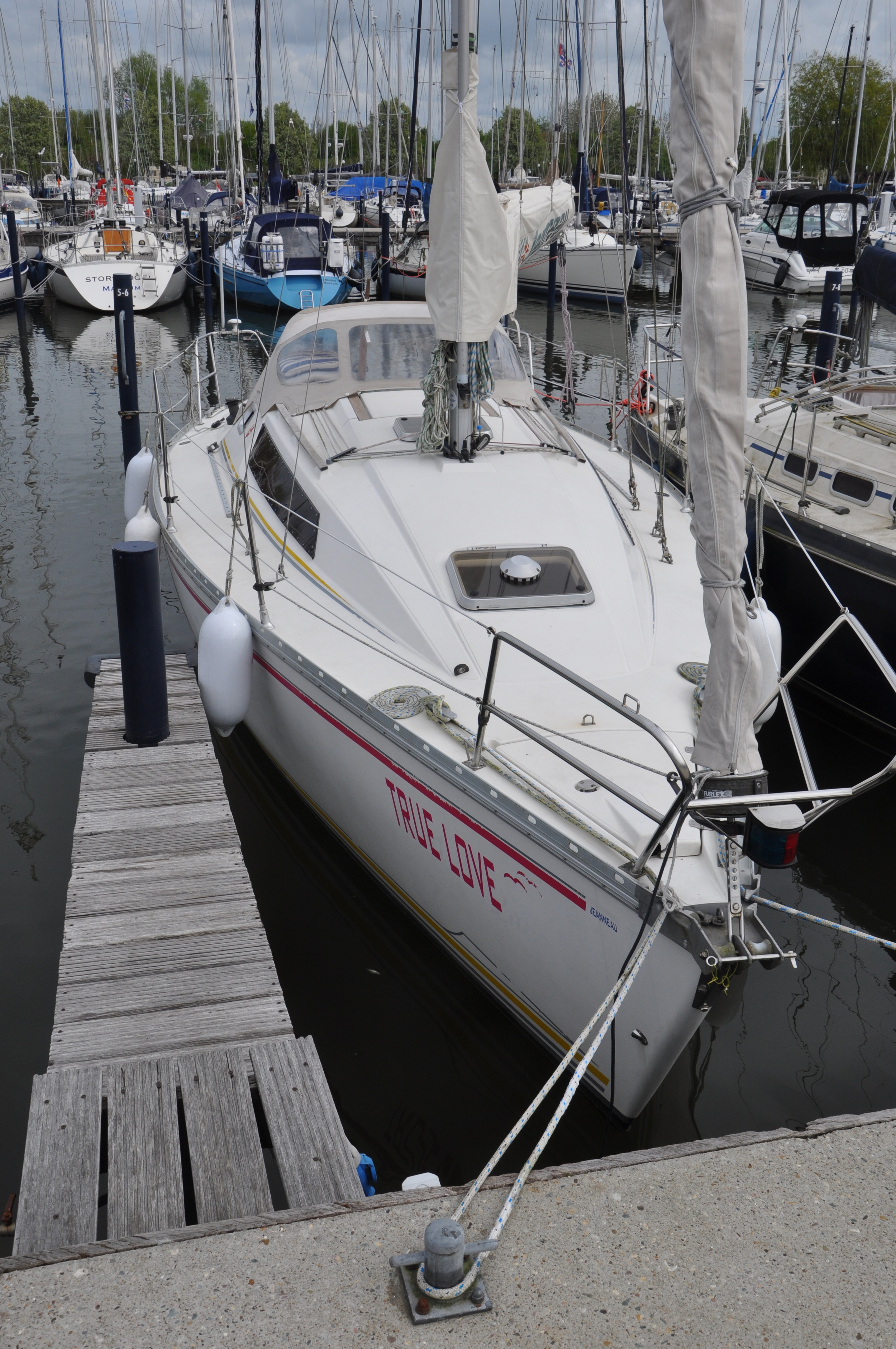 Jeanneau Sunlight 31 foto: 6