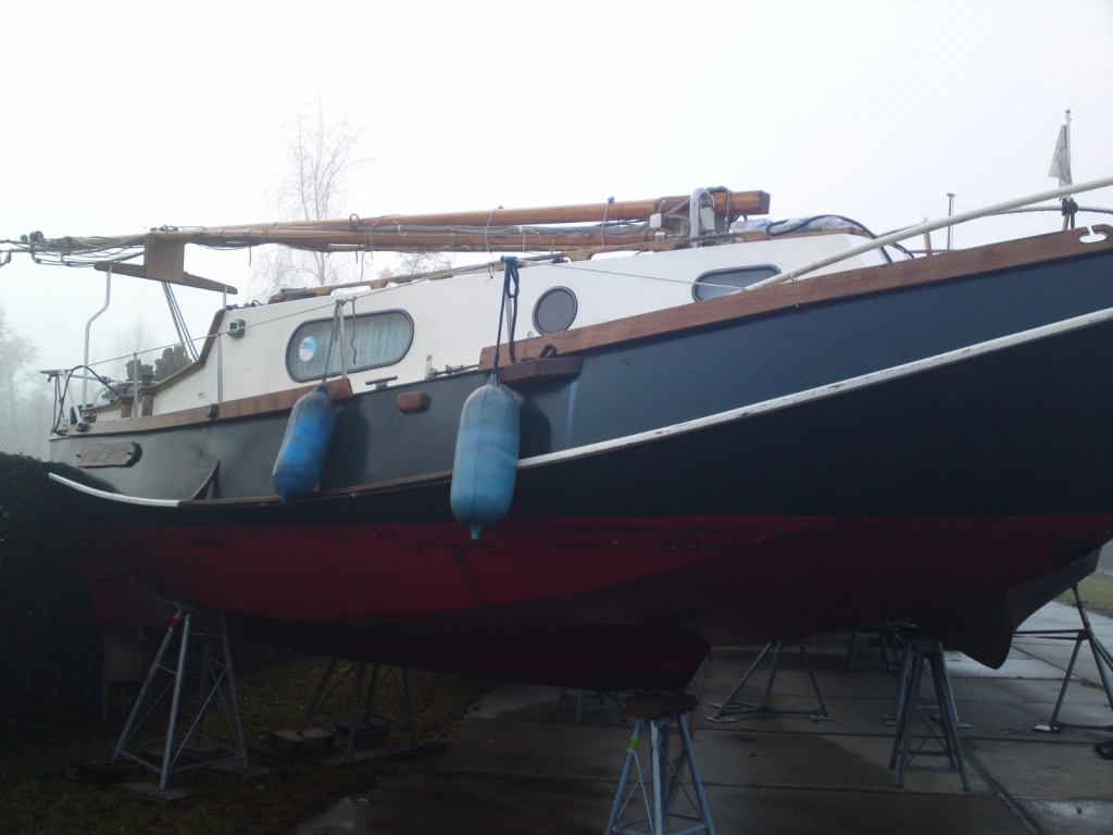 Baarda Zee Grundel foto: 29