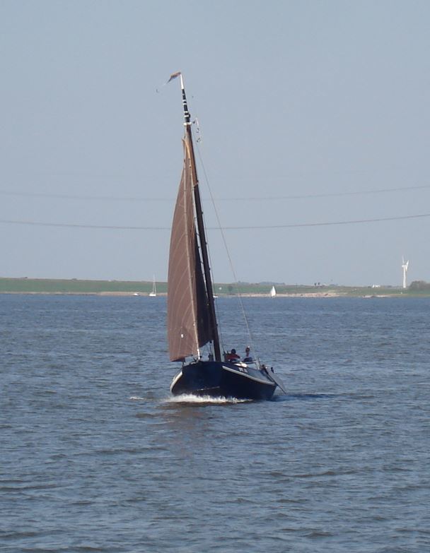 Zeeschouw ST31 Staveren 31 foto: 22