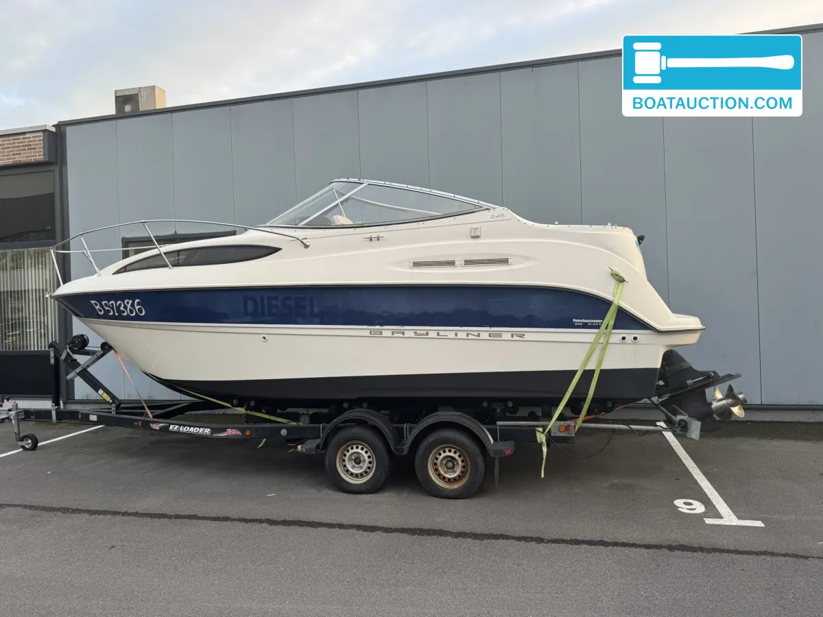 Bayliner 245 foto 1