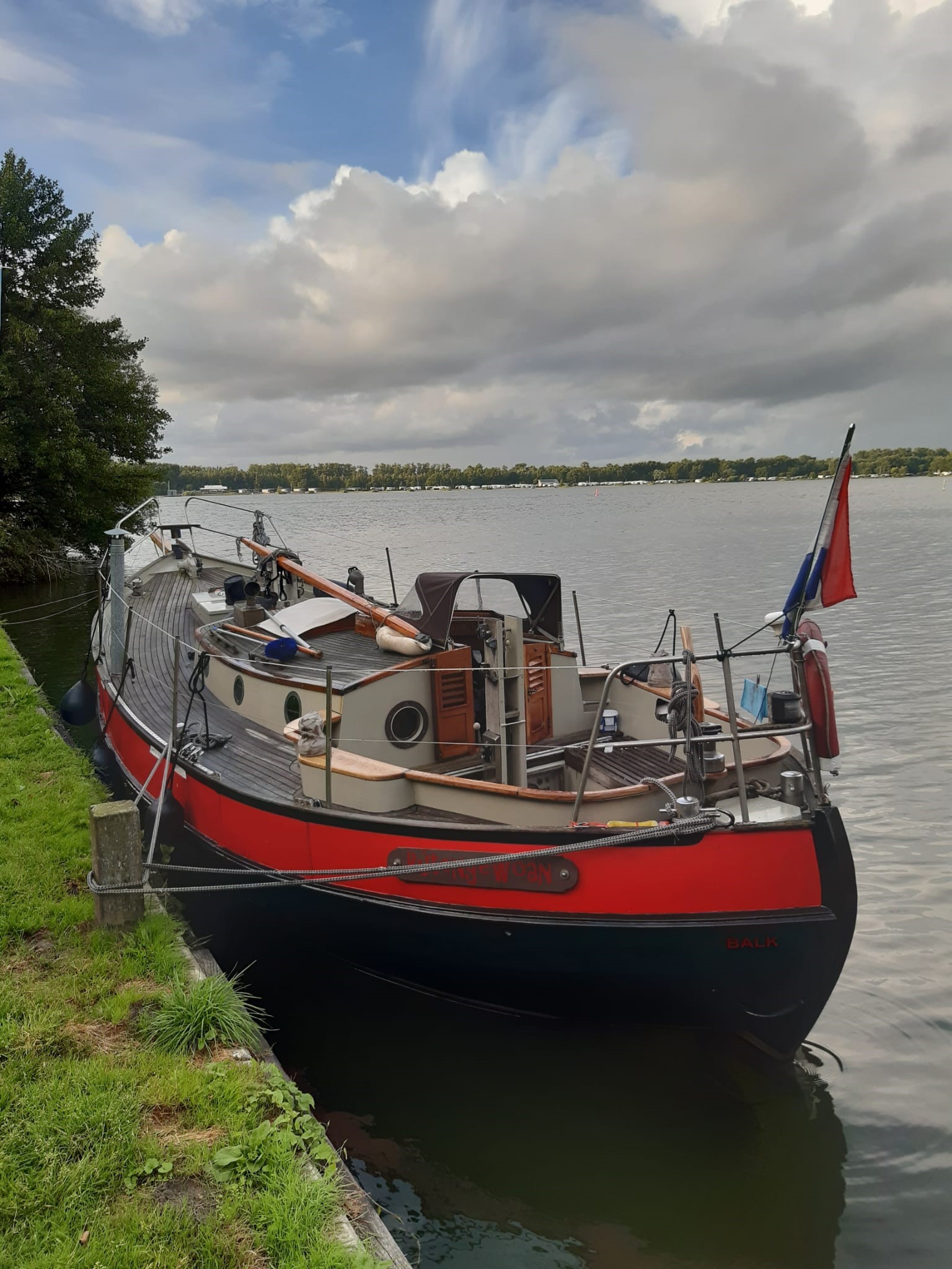 Danish Rose 31 foto 3