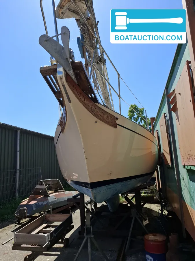 Bayfield 29