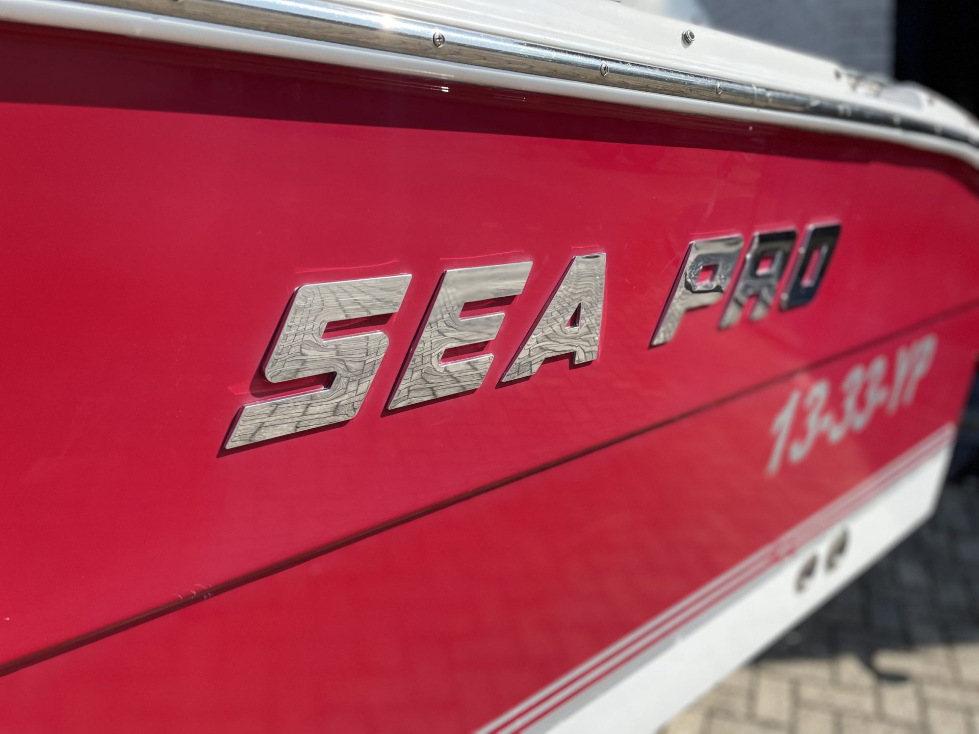 Sea Ray  foto: 15