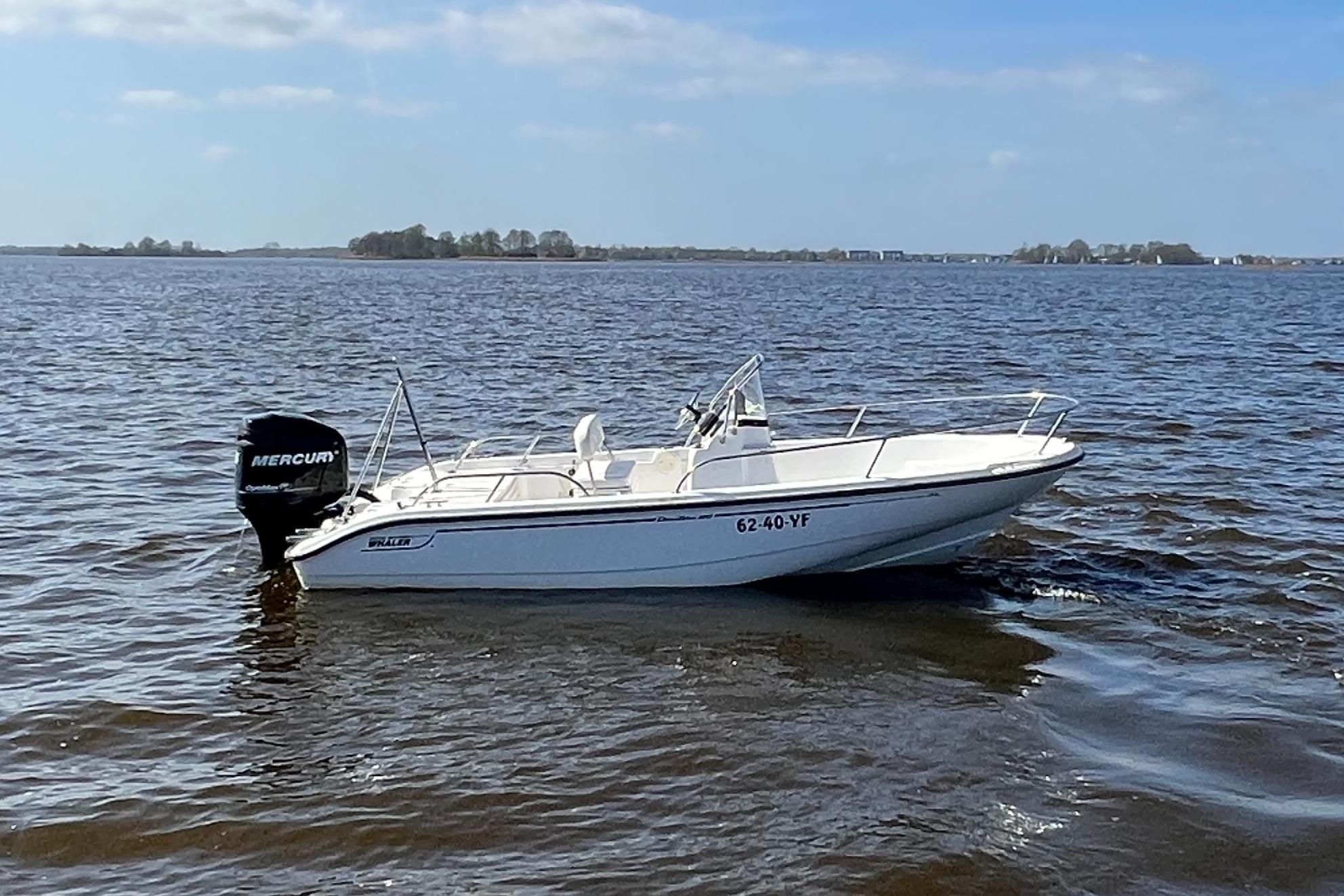 Boston Whaler 180 Dauntless foto: 6