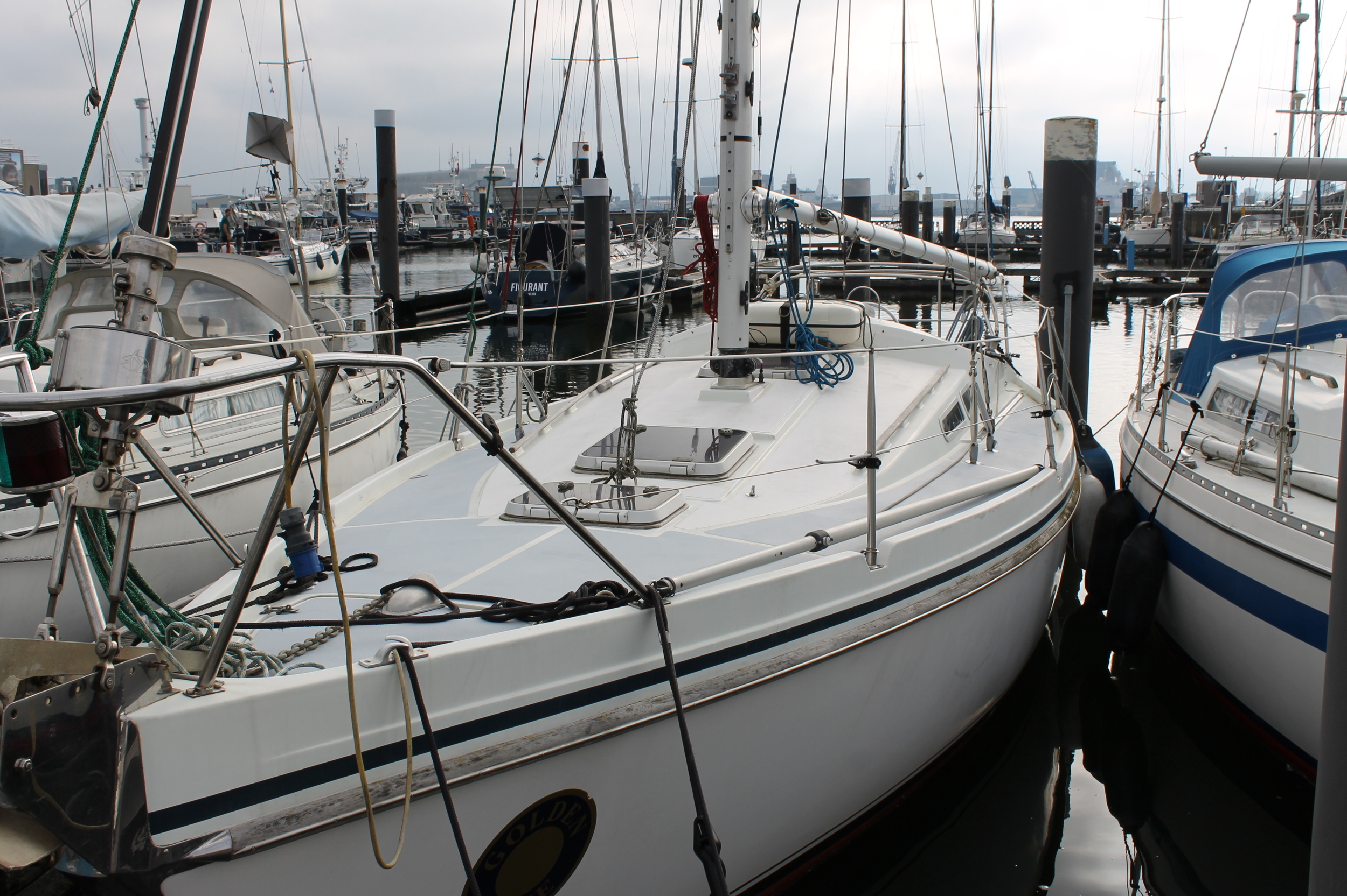 Contest 31 HT foto 3