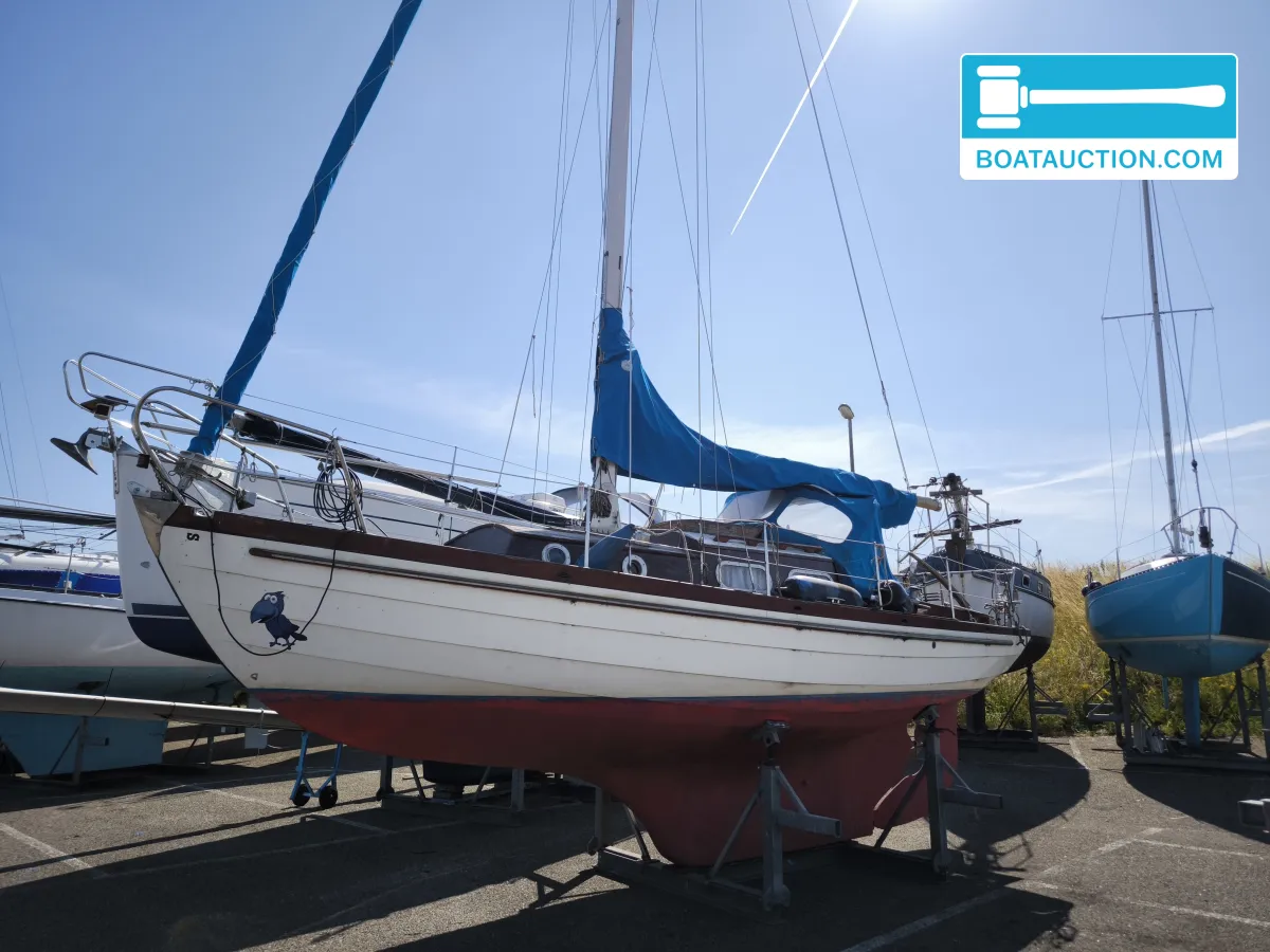 Aldebaran 8.13 foto 5