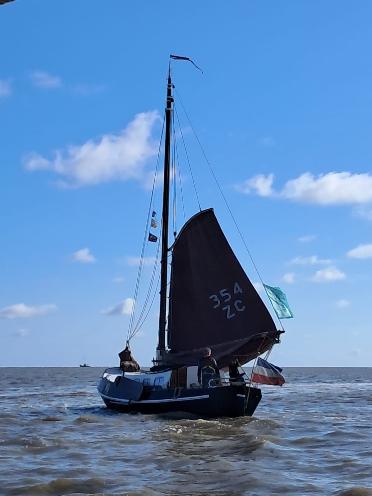 Zeeschouw ST31 Staveren 31 foto: 23
