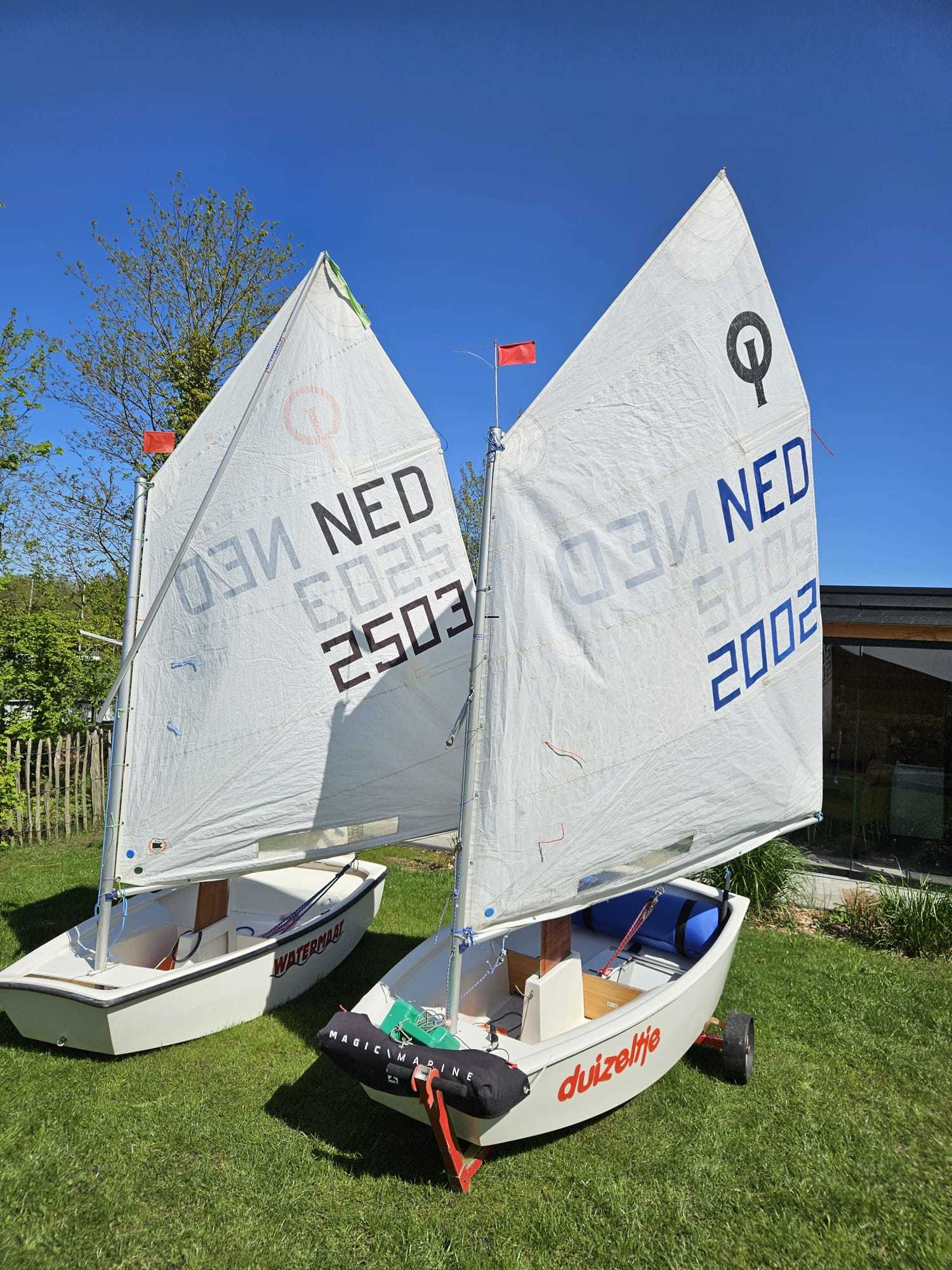 Van Wettum Optimist 2.30