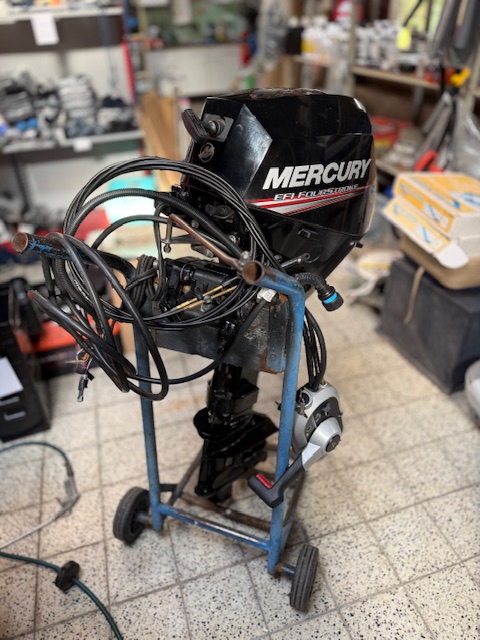 Mercury 15pk foto 4