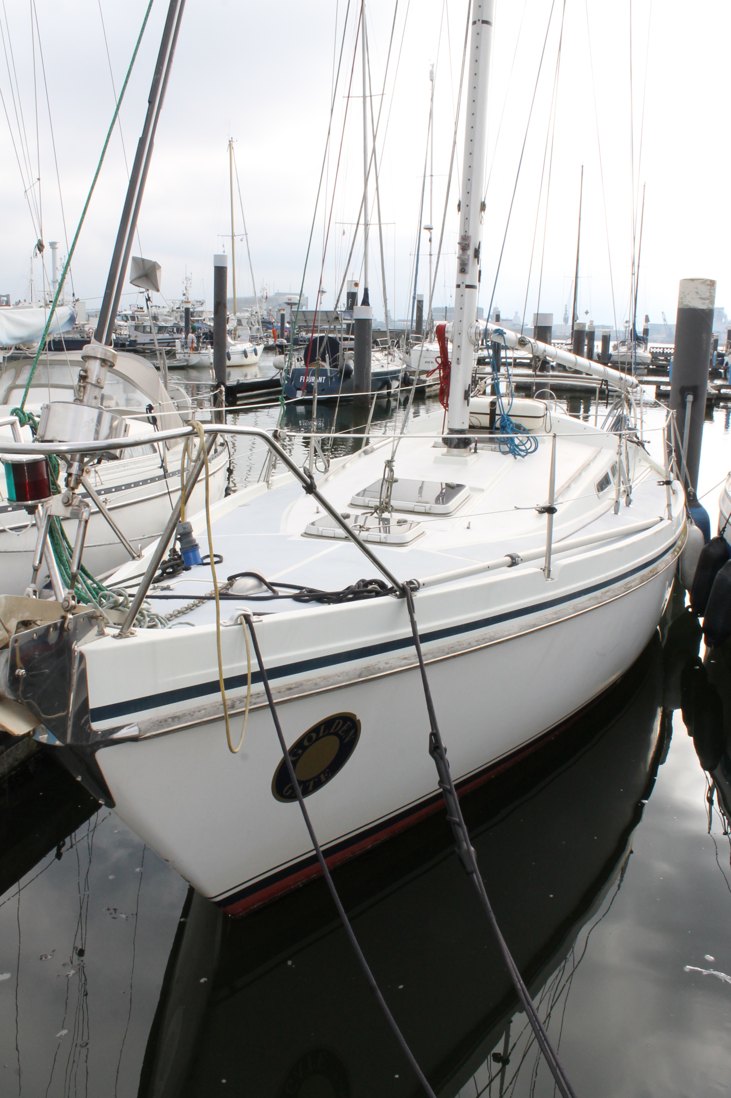 Contest 31 HT foto 2