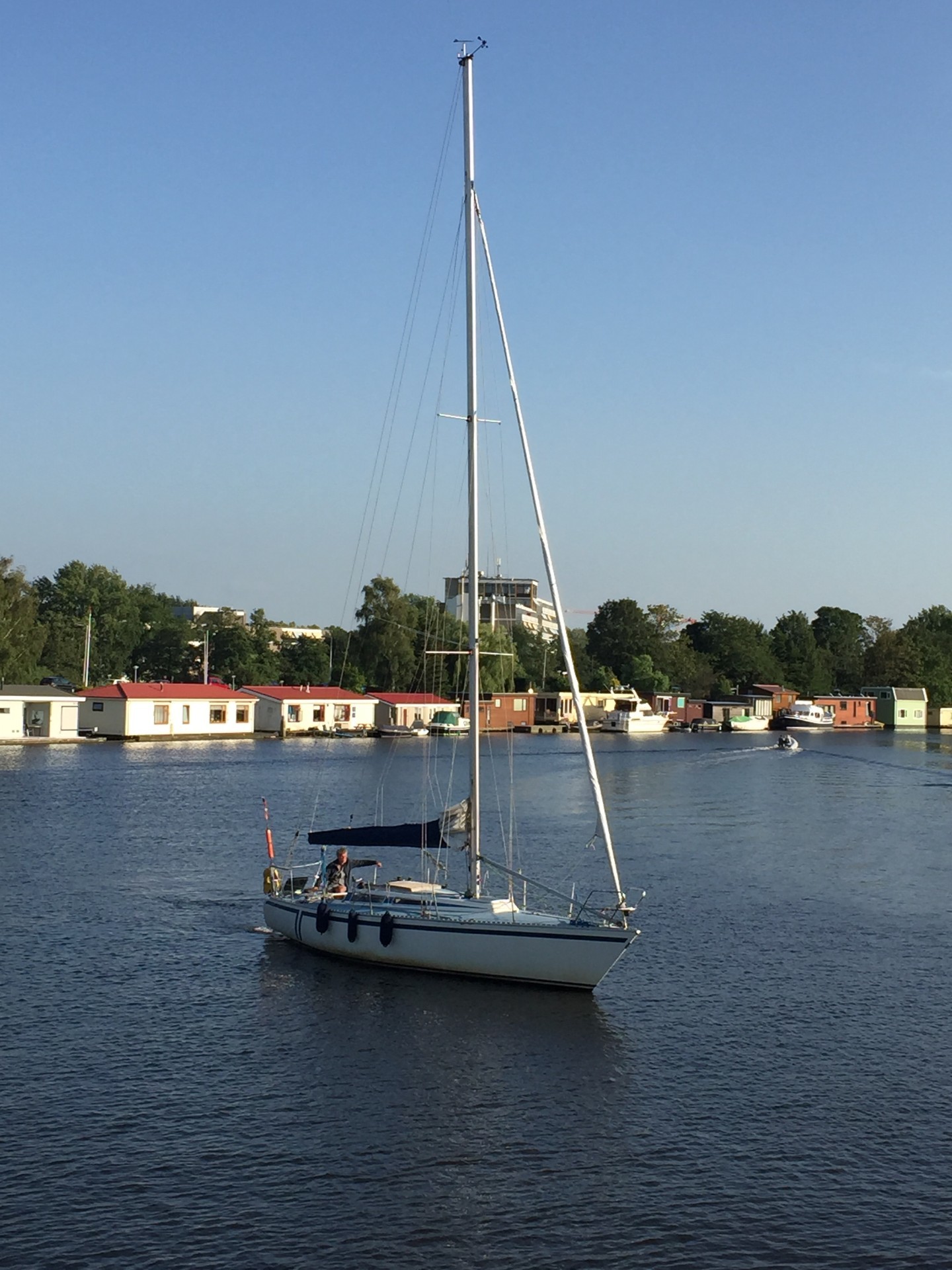 Fly 34 Mosquito 104 foto 3