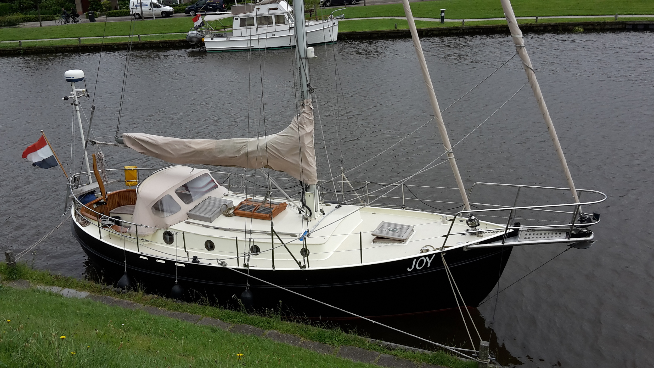 Danish Rose 31