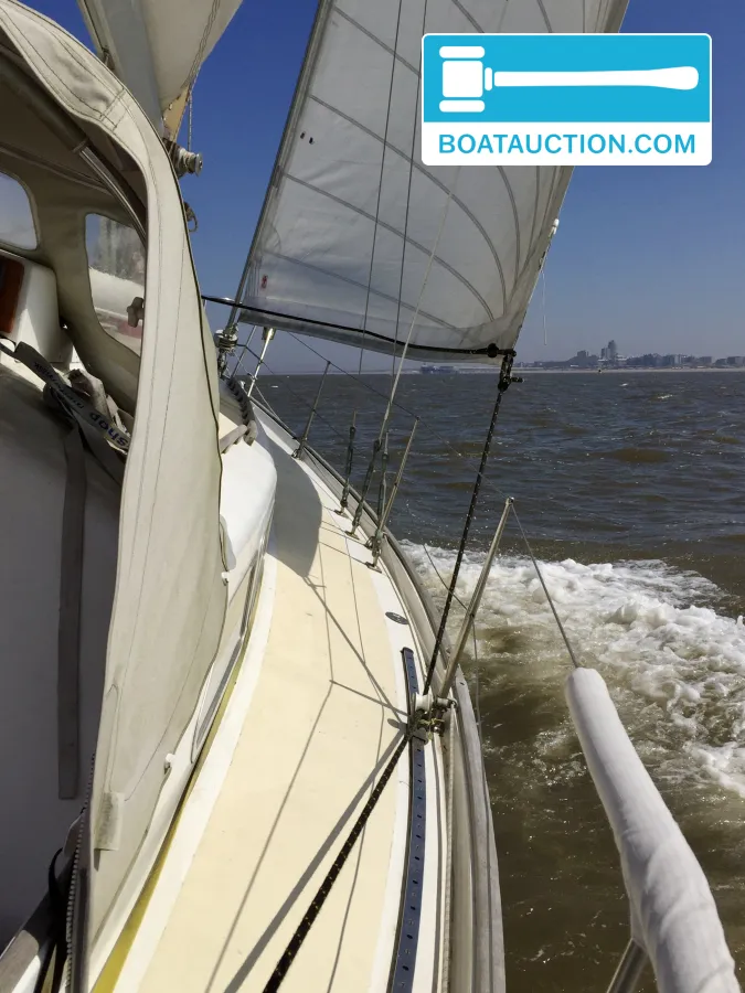 Frans Maas Raider 35 foto: 57