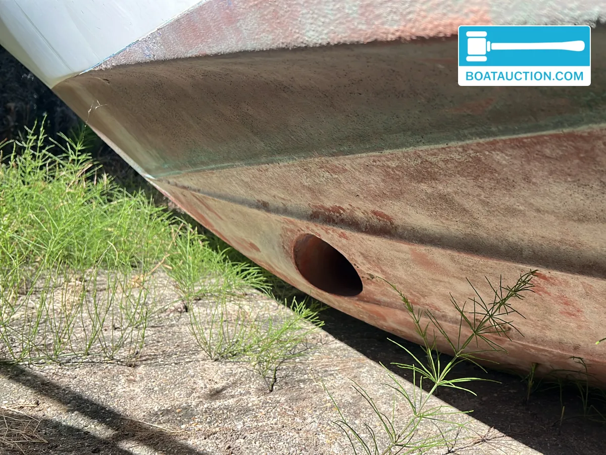 Bayliner 2655 foto 4