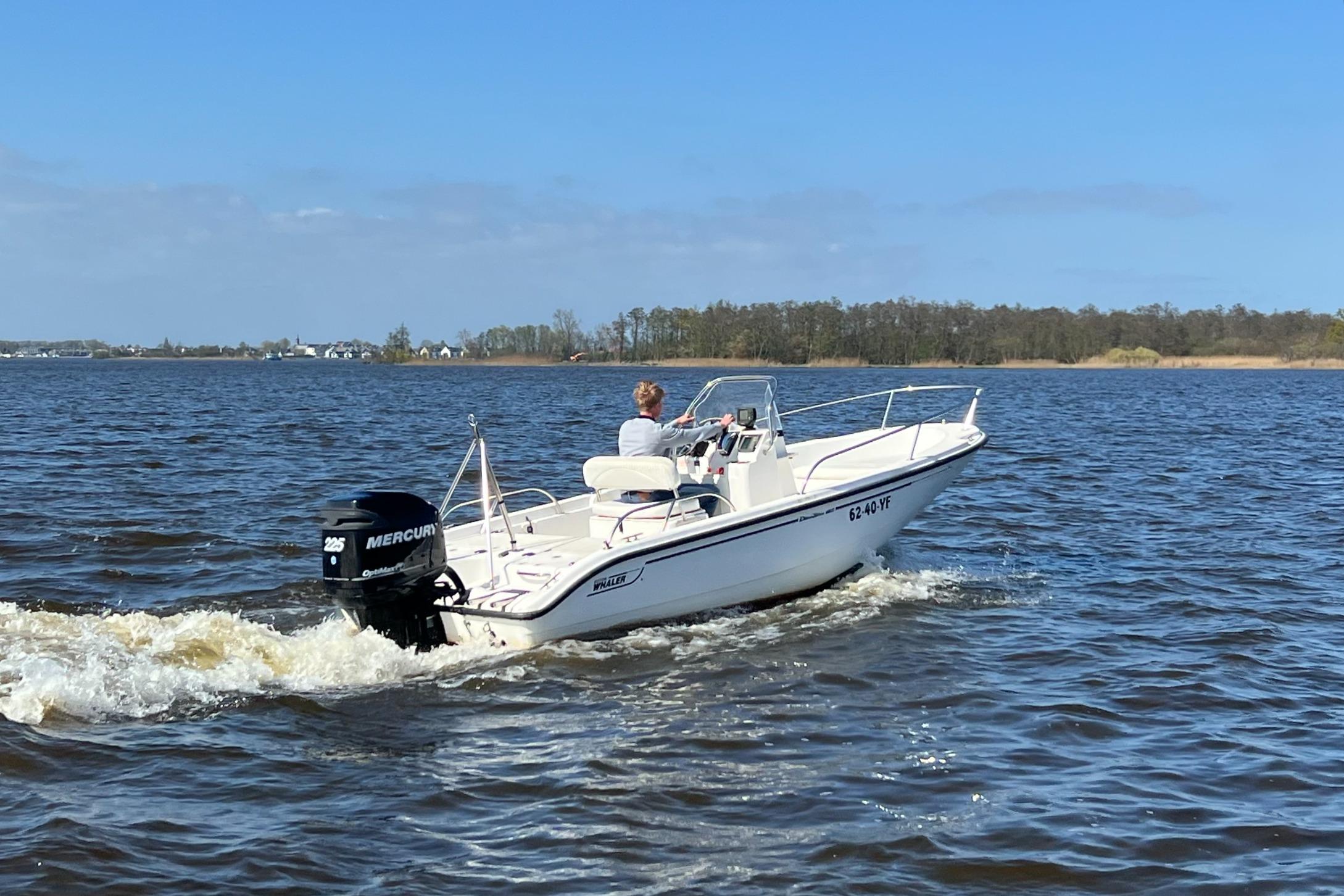 Boston Whaler 180 Dauntless foto: 9