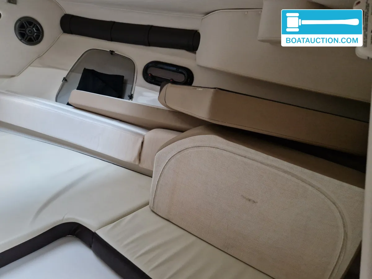 Sea Ray 250 SSE foto: 10