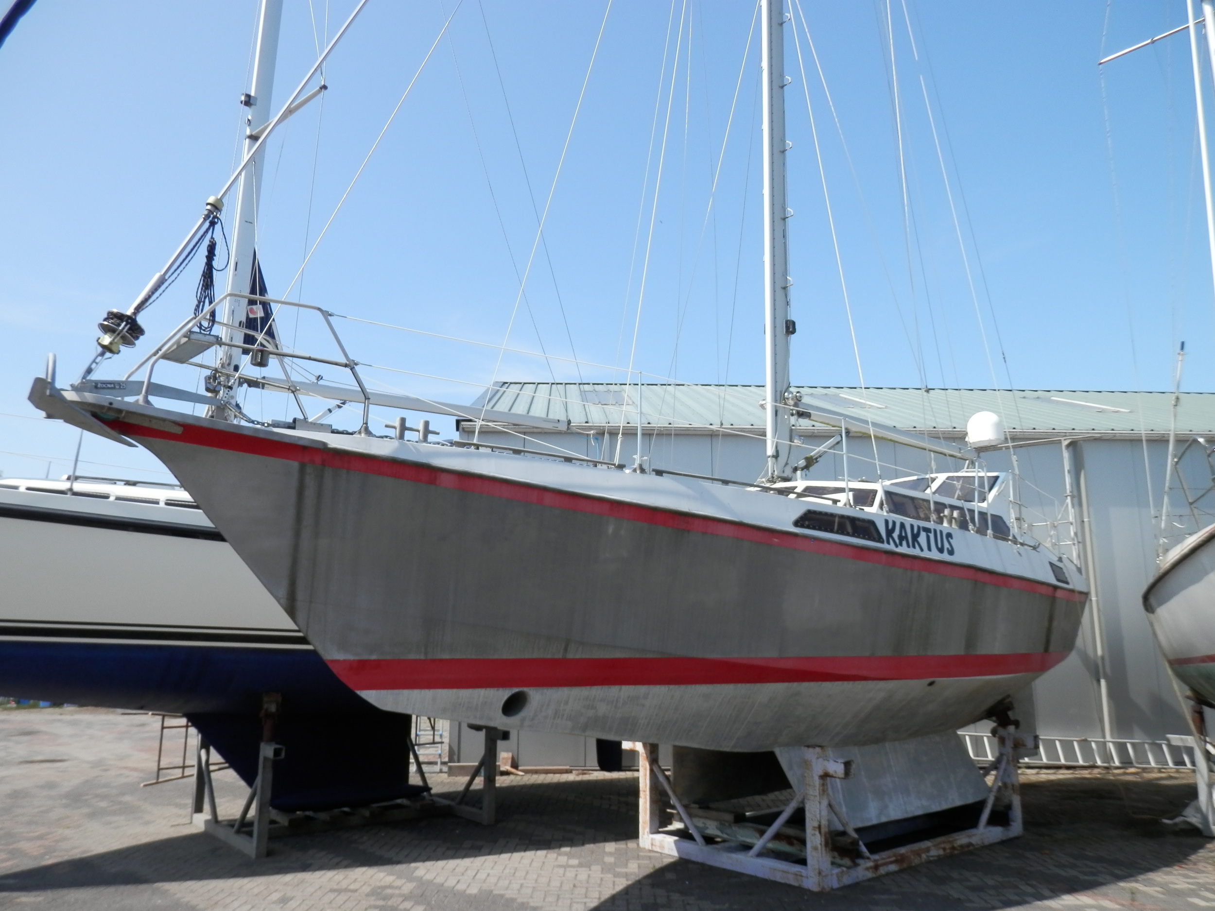 Reinke S11