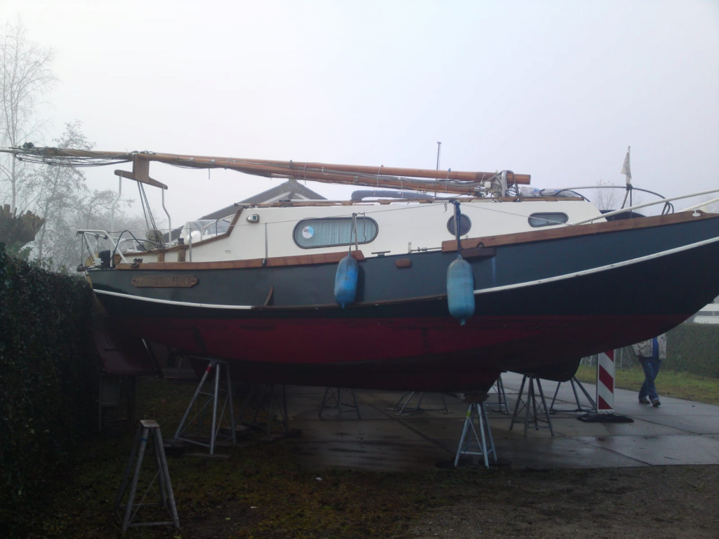 Baarda Zee Grundel foto: 17