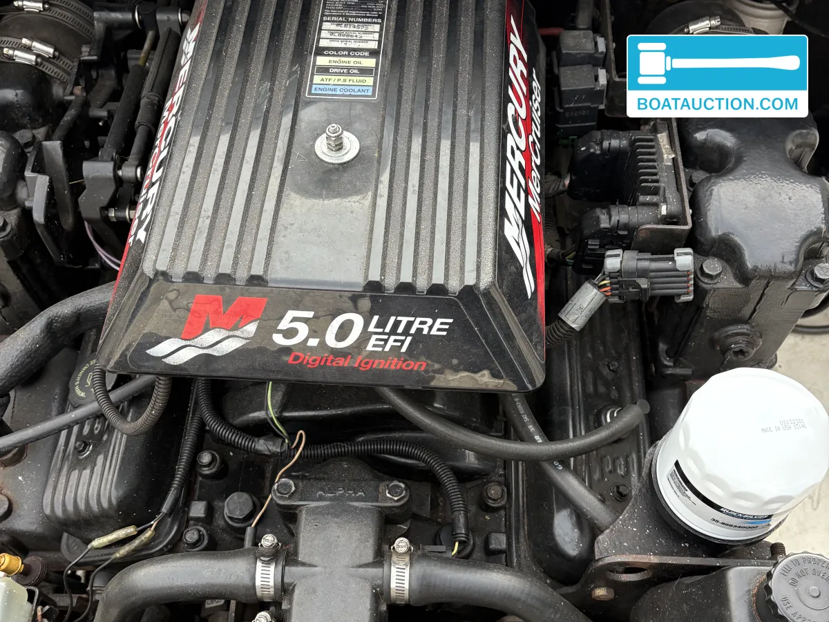 Stingray 220 foto 5