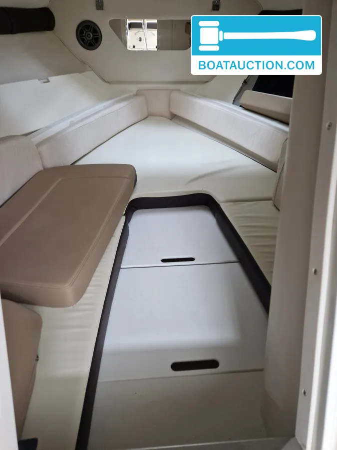 Sea Ray 250 SSE foto: 9