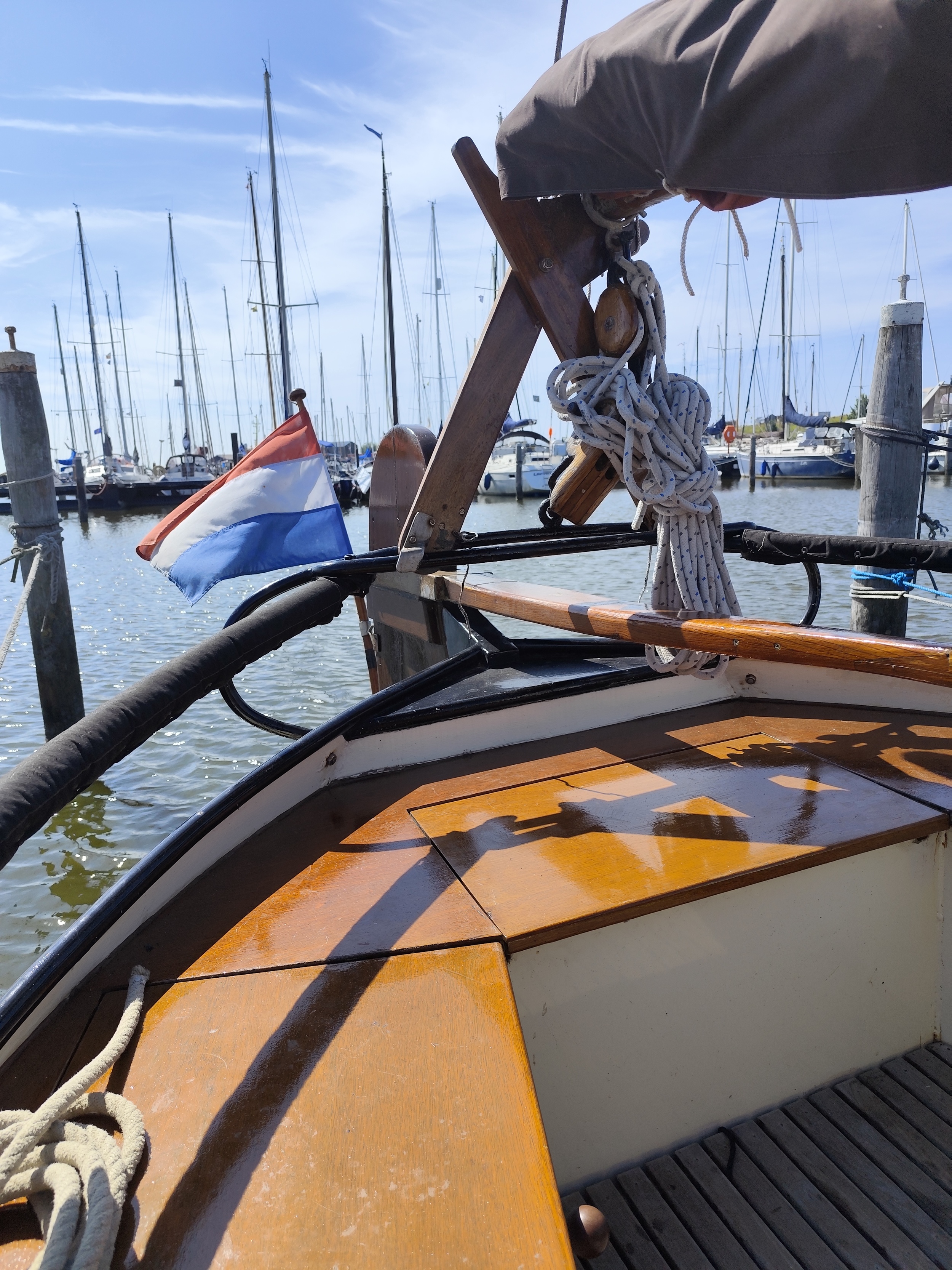 Schokker Paans foto: 1