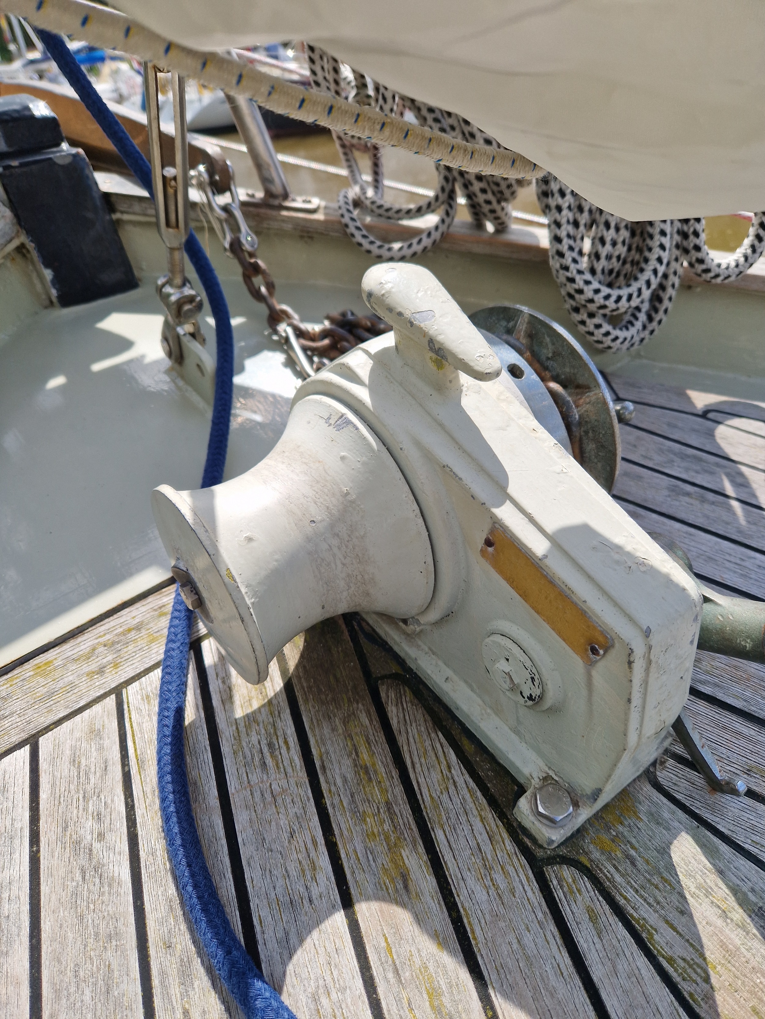 Danish Rose 31 foto 5