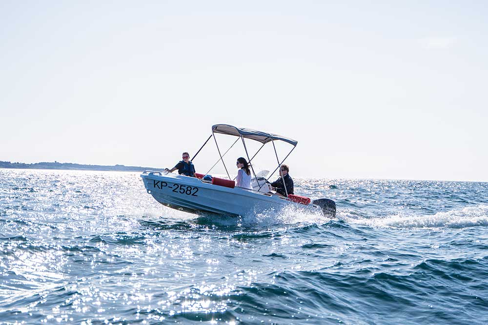 ROTO 450 HYDRA FAMILY foto 2