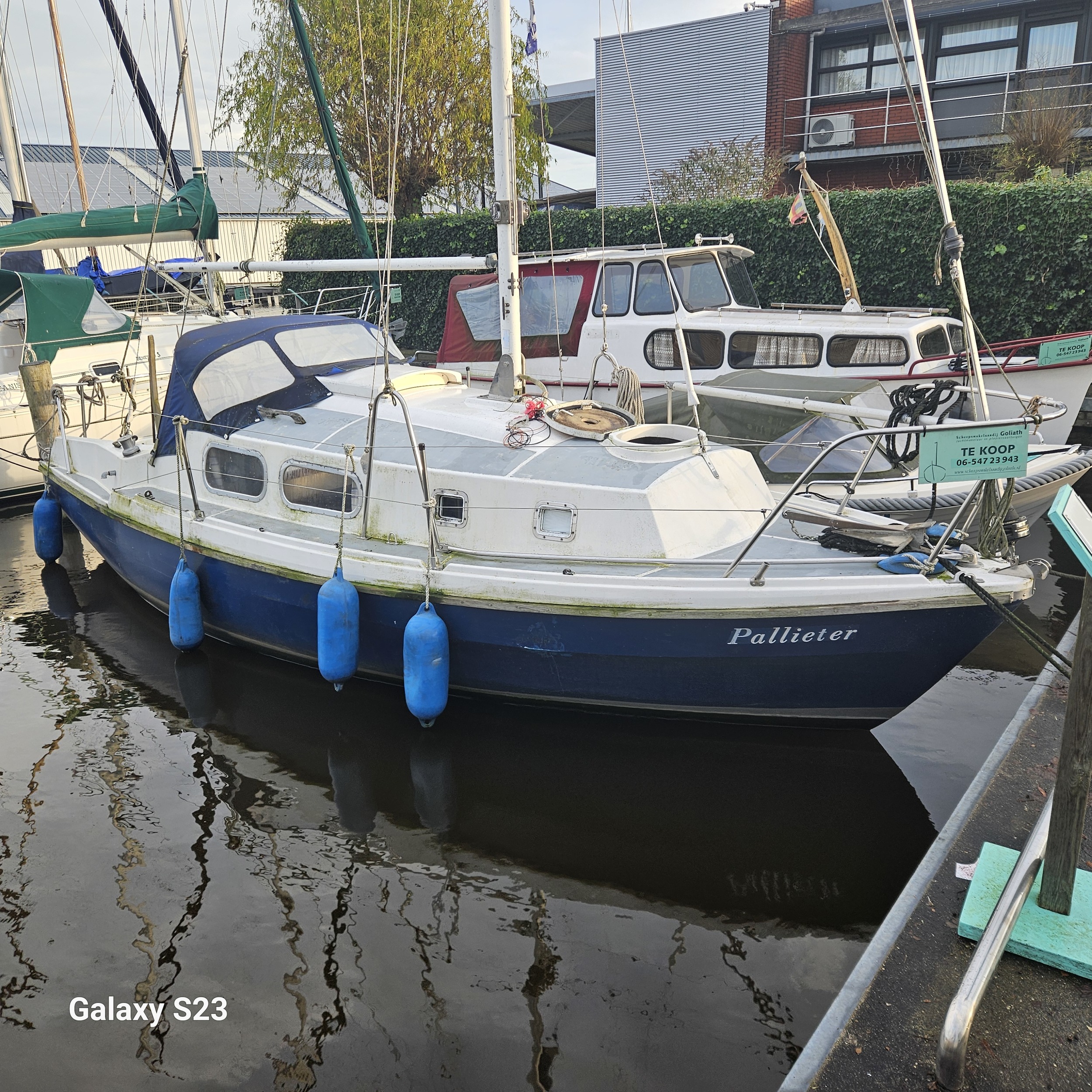 Westerly 700 Pageant foto 2