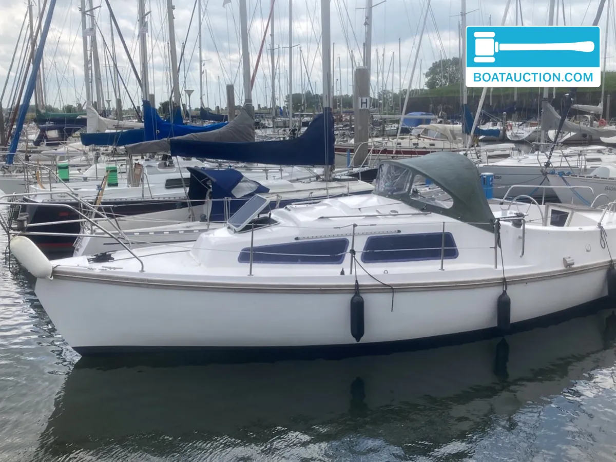 Compromis 850 AK Ohana foto 2
