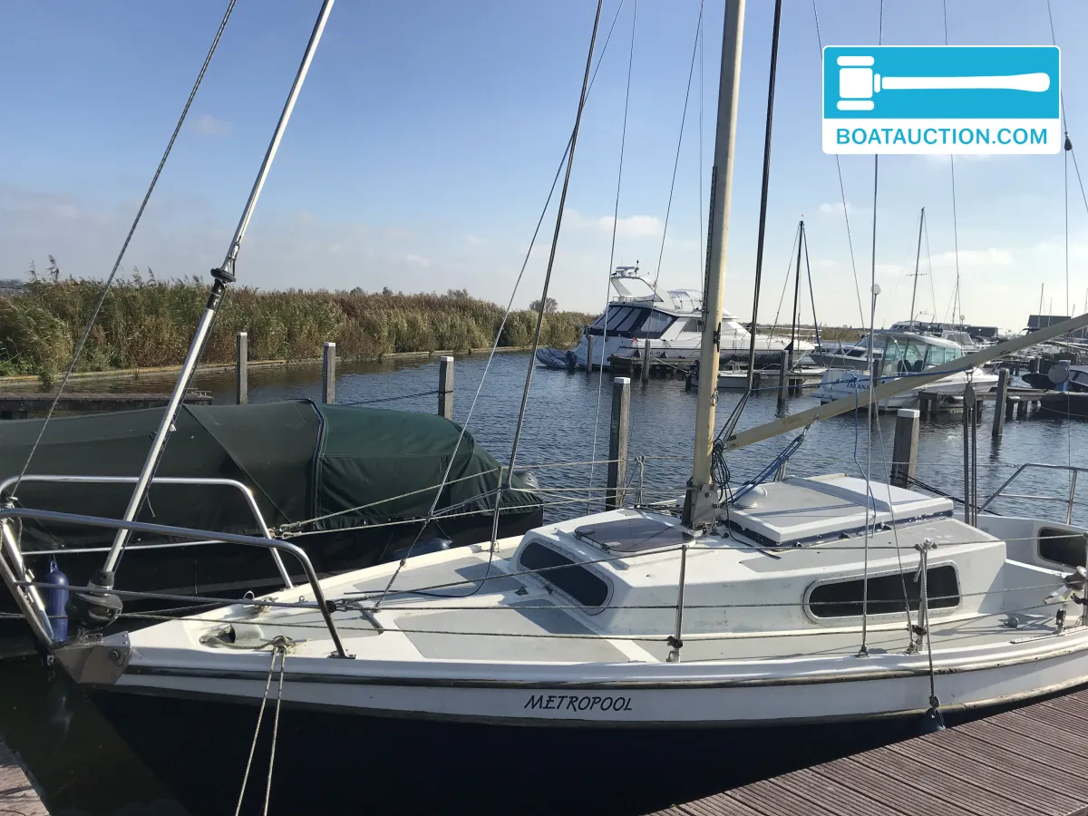 Noorse Spitsgatter 780