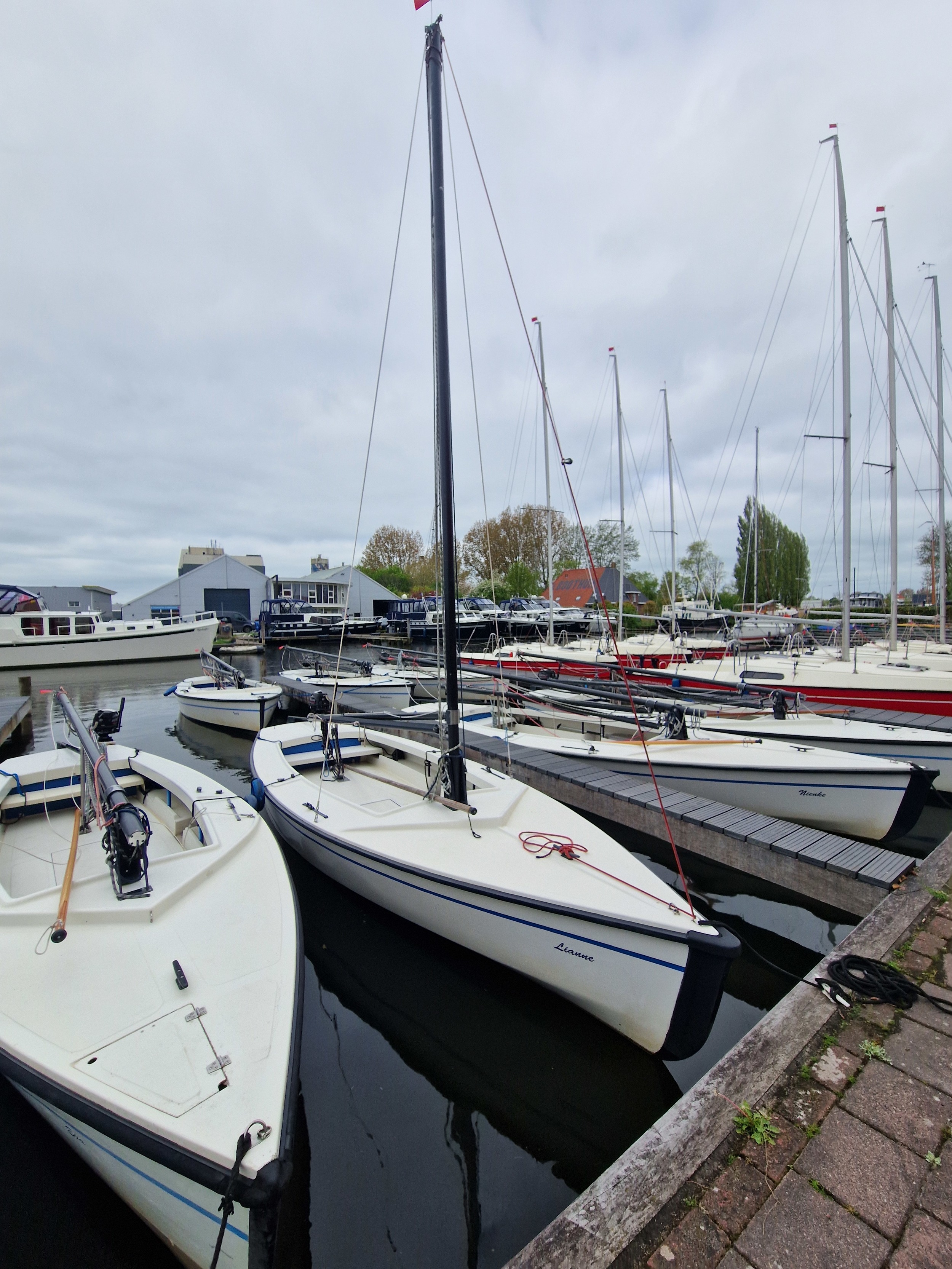 Polyvalk 6.65
