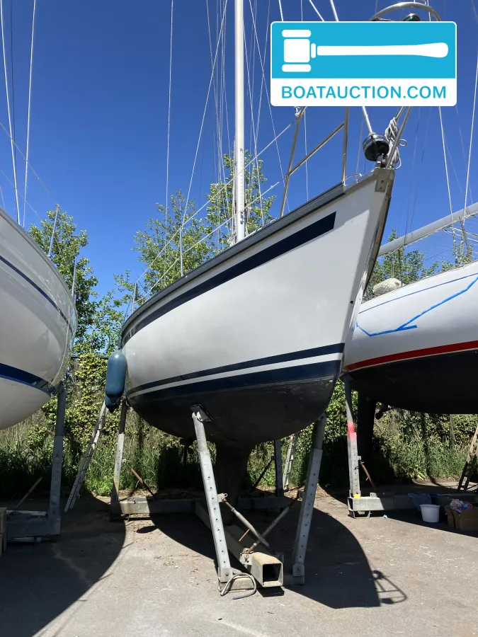 Dufour 29