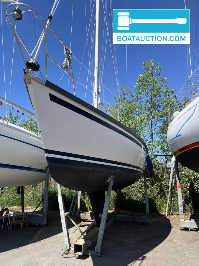 Dufour 29