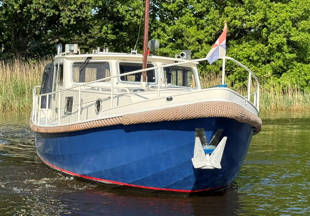 Bruisvlet  1100 OK foto: 7