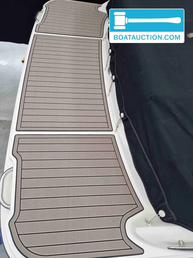 Sea Ray 250 SSE foto: 6