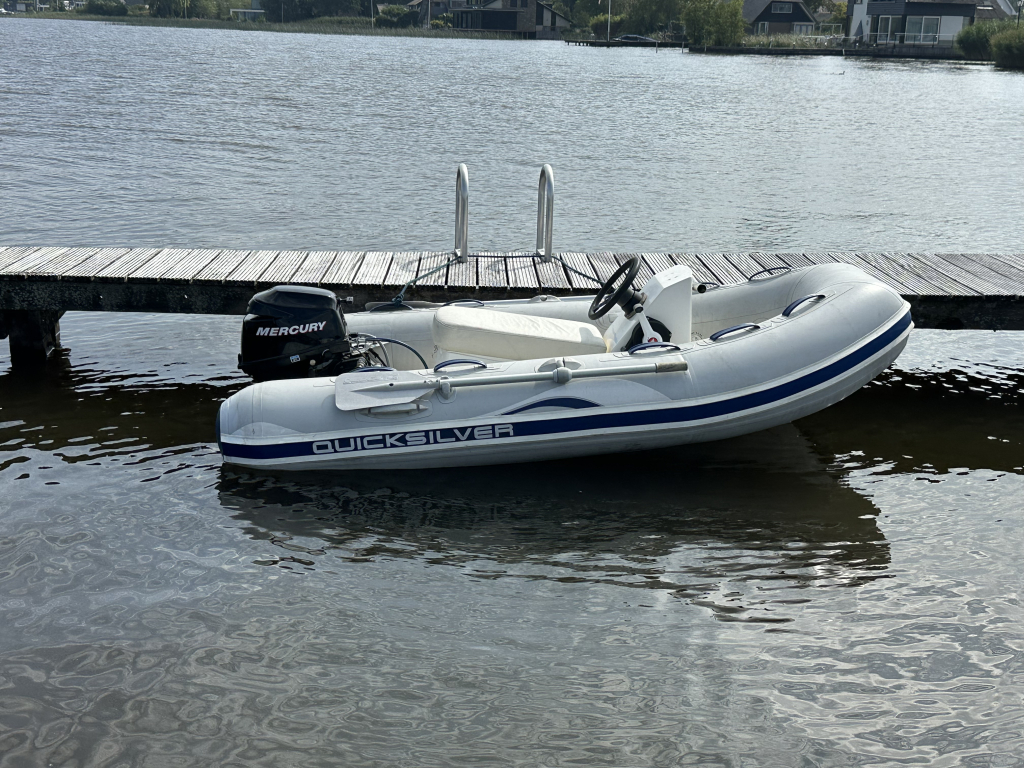 Quicksilver Sport 310 foto 2