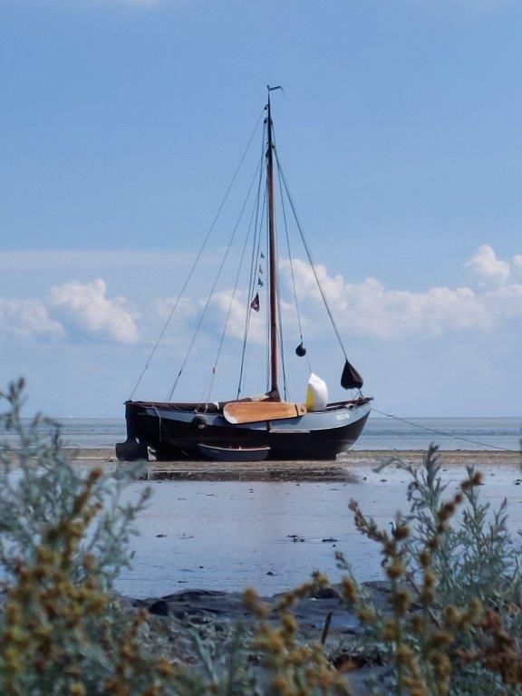 Visserman Zeeschouw 11.30