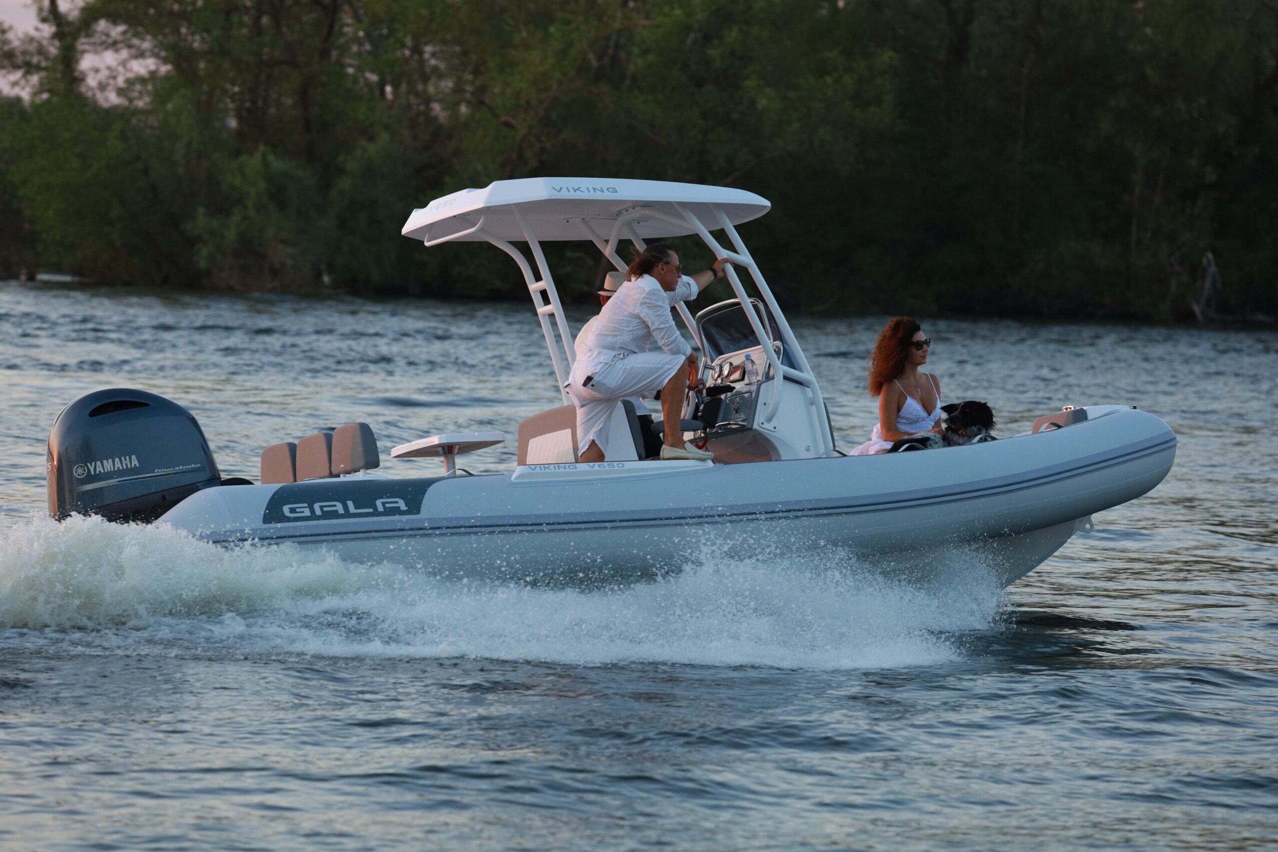 Gala Viking