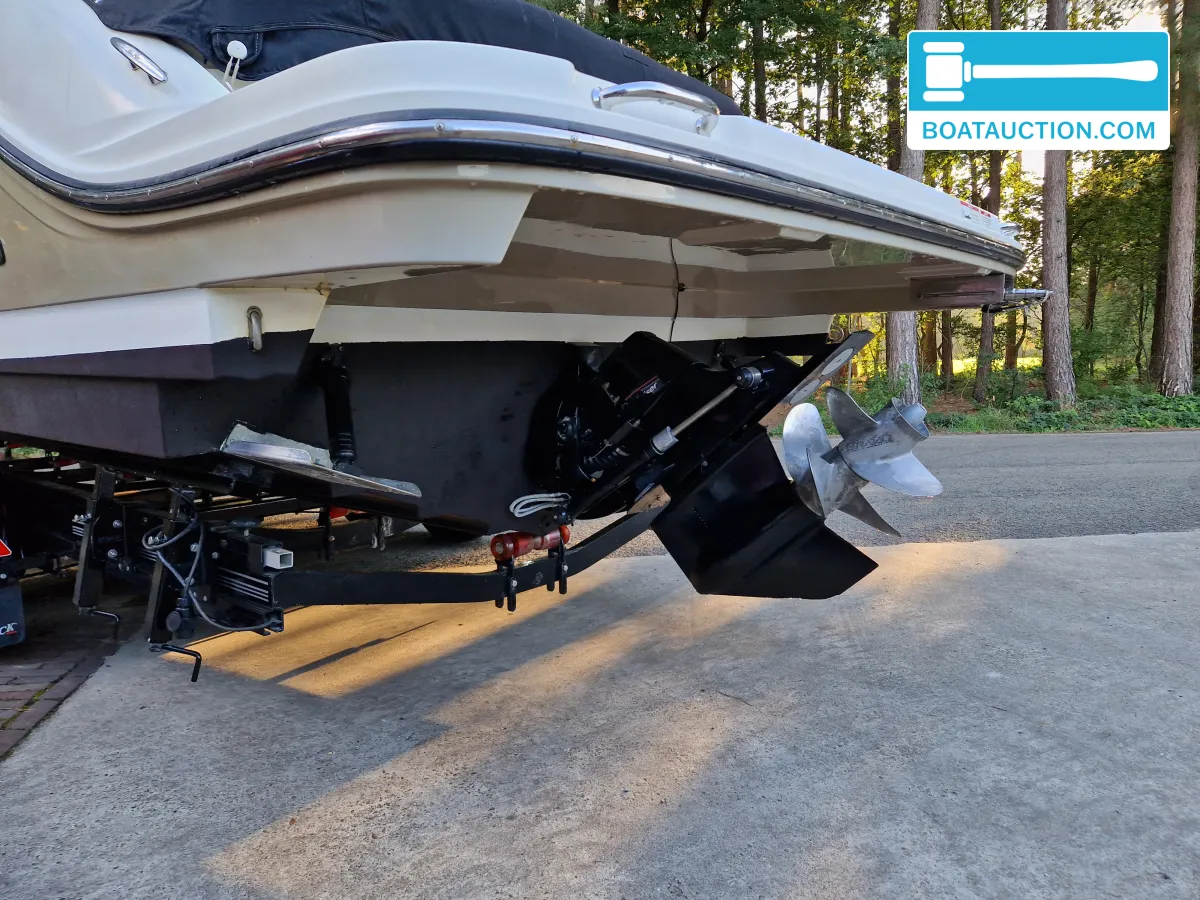 Sea Ray 250 SSE foto: 14
