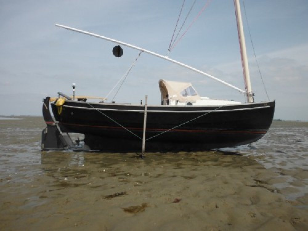Delphin 66