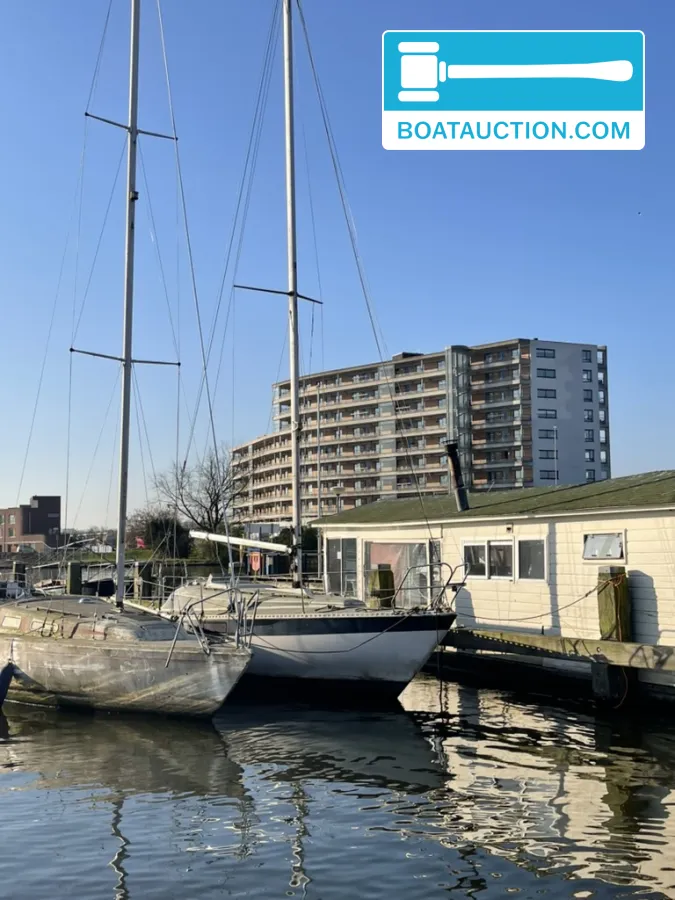 Cabin sailboat 900 foto: 8