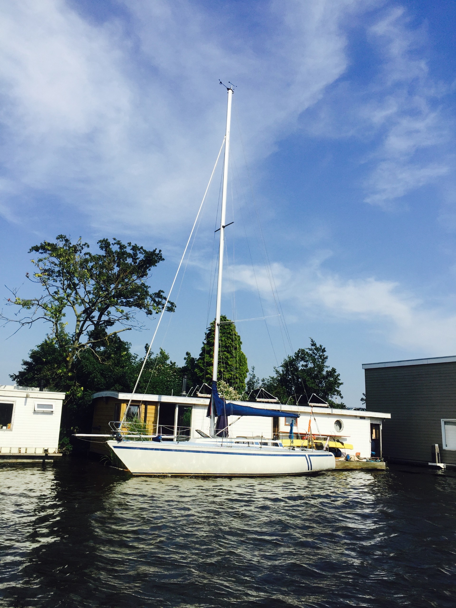 Fly 34 Mosquito 104 foto 2