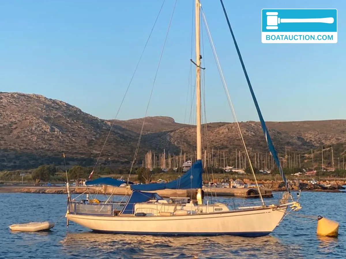 Le Comte Alc 35 hoofdfoto: 1